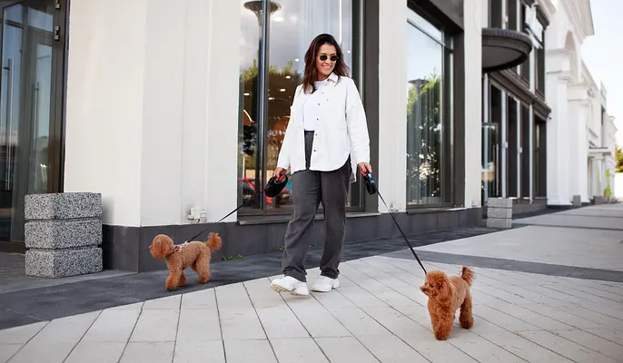 La Gioia e l'Importanza delle Passeggiate con il Cucciolo: Molto Più di un Semplice Esercizio!